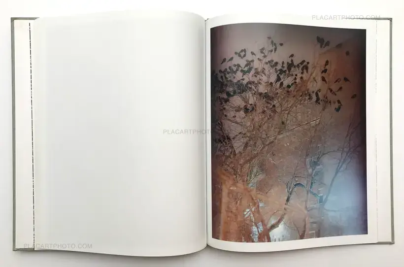 Gregory Halpern – A