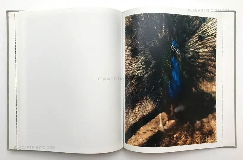 Gregory Halpern – A