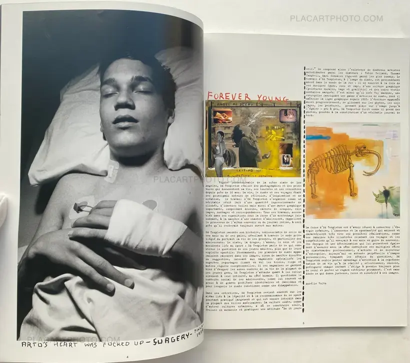 Ed Templeton – The Golden Age of Neglect
