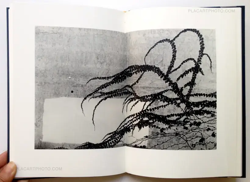 Robin Maddock – III (Signed)