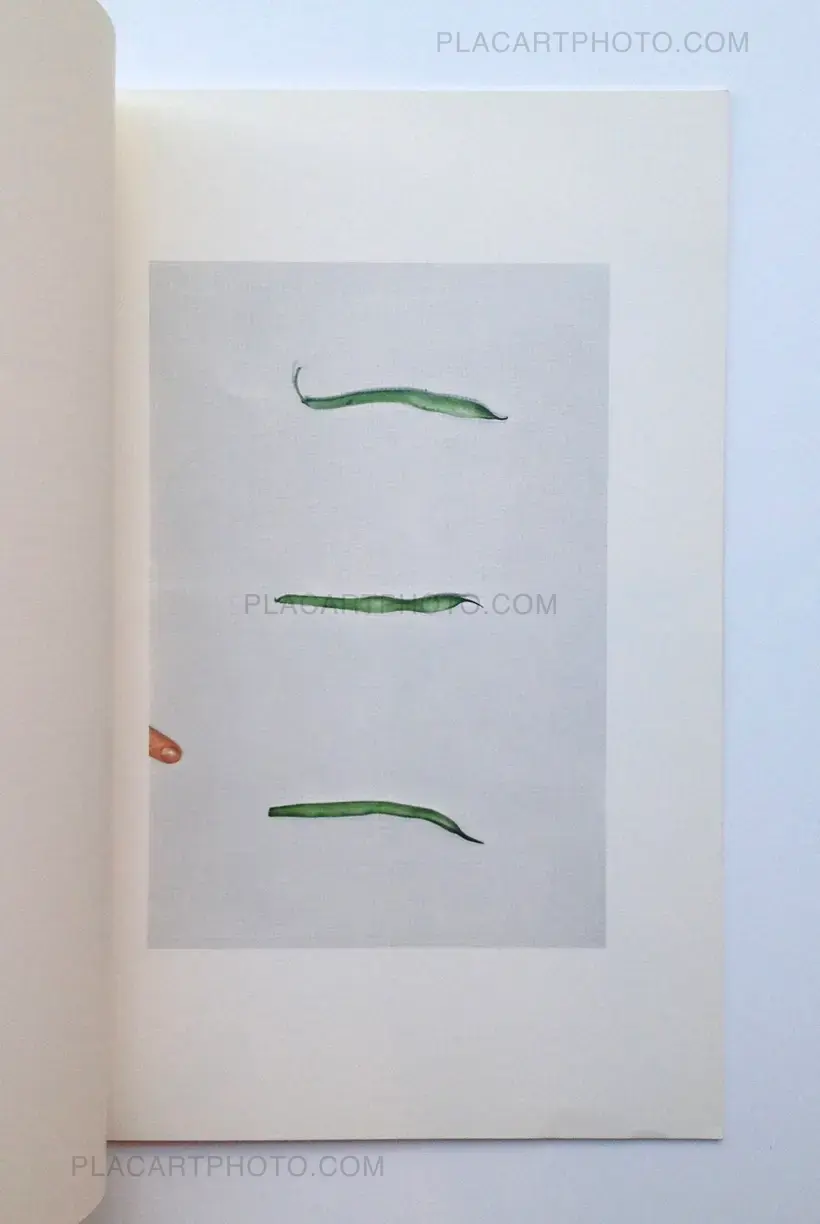 John Baldessari – Choosing : Green Beans