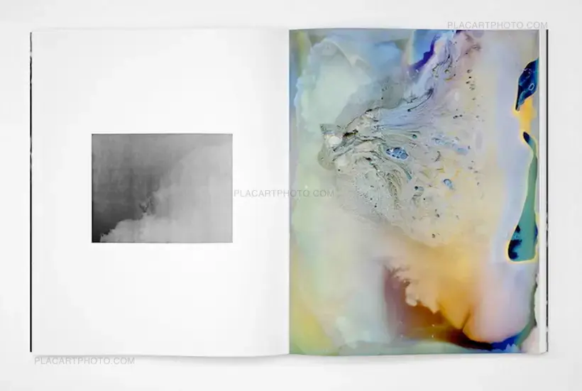 Collective – Abstracts
