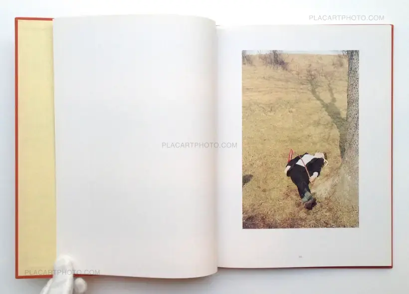 Jitka Hanzlova – Rokytnik + (Catalogue of Lectoure)