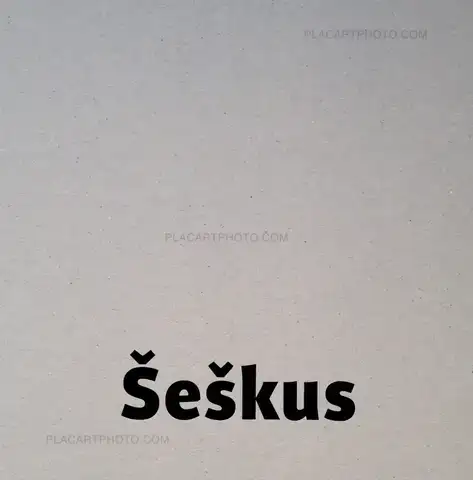 Algirdas Šeškus – Grey, but not Grey