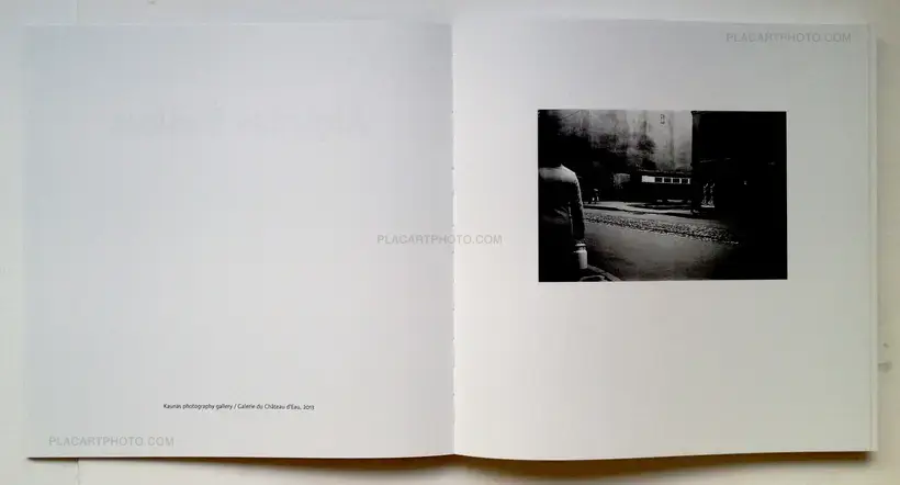 Algirdas Šeškus – Grey, but not Grey
