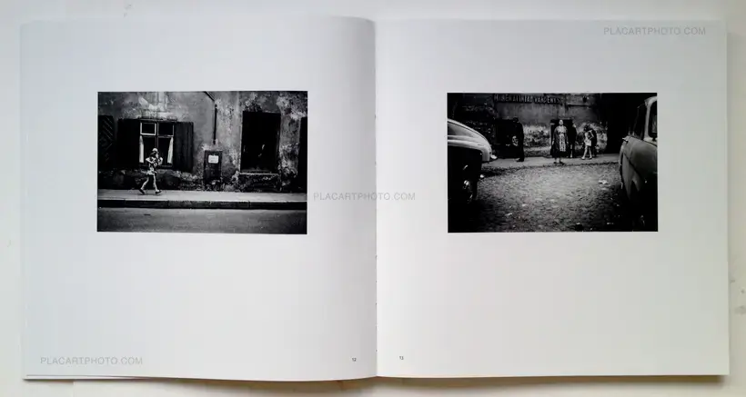 Algirdas Šeškus – Grey, but not Grey