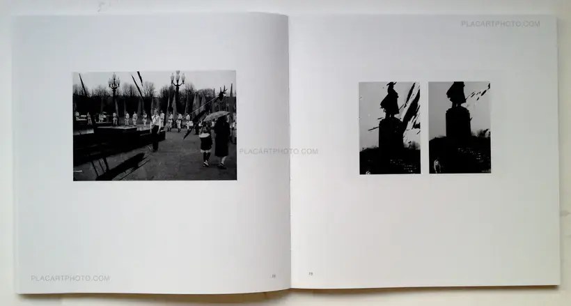 Algirdas Šeškus – Grey, but not Grey