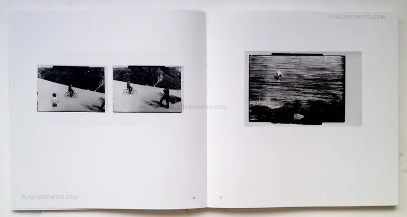 Algirdas Šeškus – Grey, but not Grey