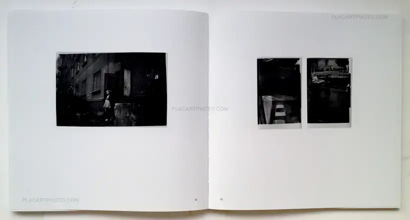 Algirdas Šeškus – Grey, but not Grey