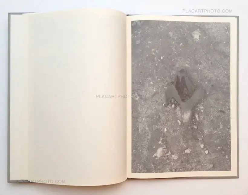 Gosbert Adler – Sog (Signed)