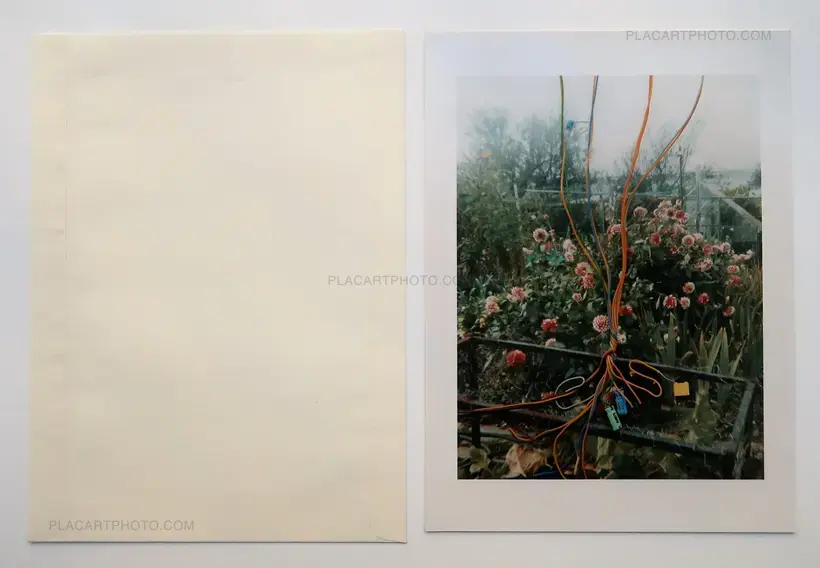 Stephen Gill – Hackney Flowers (LTD & SIGNED WITH PRINT)