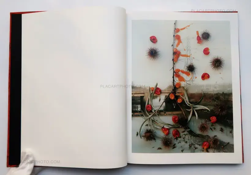 Stephen Gill – Hackney Flowers (LTD & SIGNED WITH PRINT)