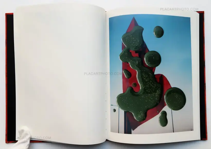 Stephen Gill – Hackney Flowers (LTD & SIGNED WITH PRINT)