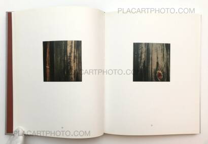 Walker Evans,Polaroids Walker Evans,Polaroids