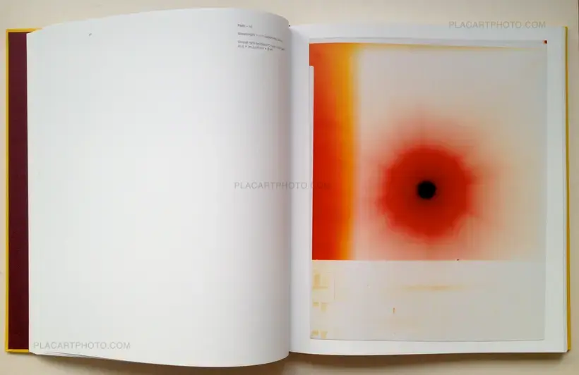 Nicolai Howalt – Light Break, Photography / Light Therapy (Signed)
