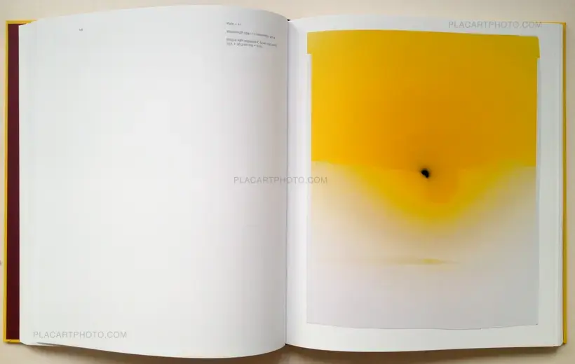 Nicolai Howalt – Light Break, Photography / Light Therapy (Signed)