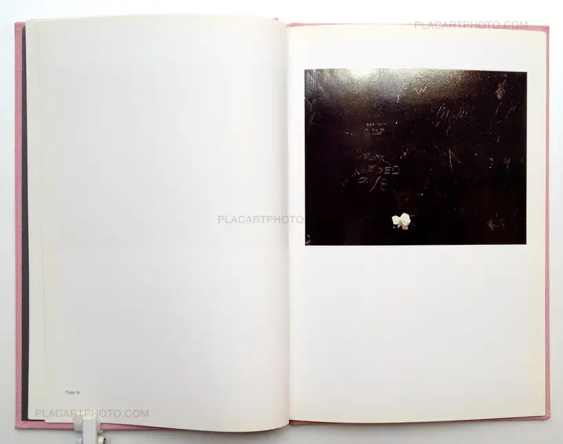 Paul Graham – Paintings