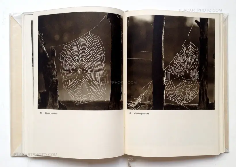 Josef Sudek – Josef Sudek Fotografie