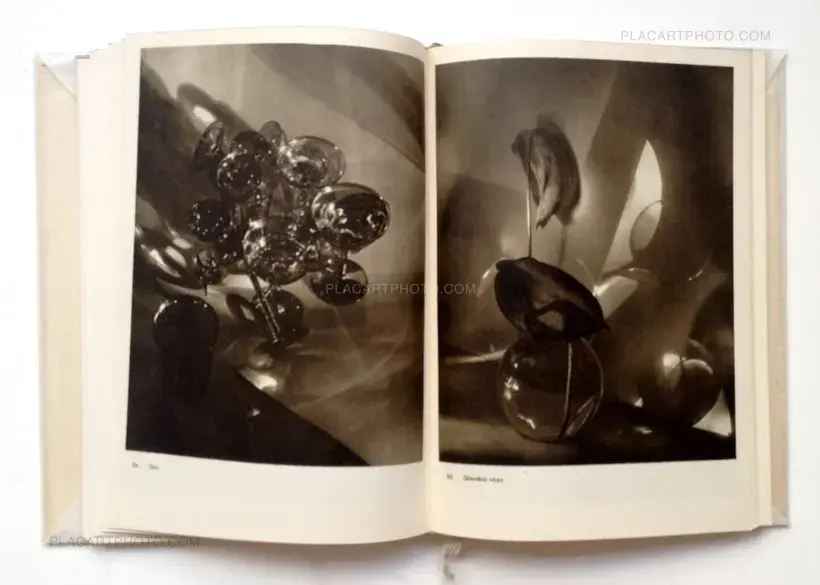 Josef Sudek – Josef Sudek Fotografie