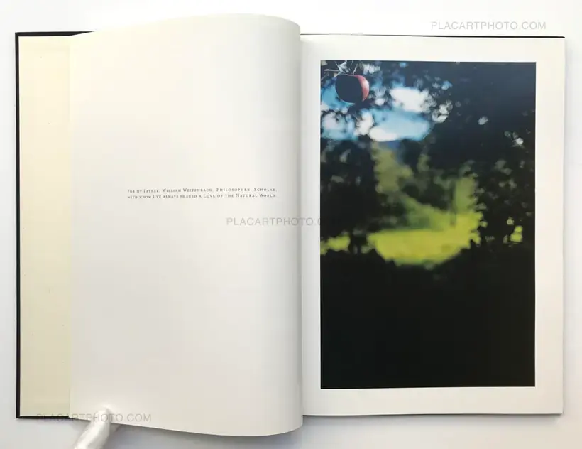 Terri Weifenbach – Lana (LTD & SIGNED WITH A PRINT)