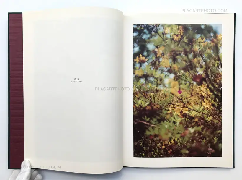 Terri Weifenbach – Hunter green (SIGNED)