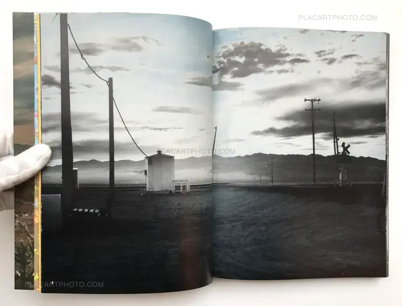 Shinya Fujiwara – American Roulette