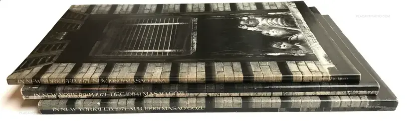 Masao Gozu – In New York (SET OF 3 VOLUMES)