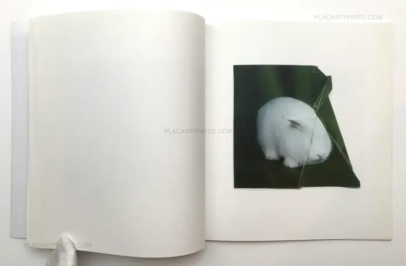 Ruth van Beek – The Hibernators (Limited to 200 copies)