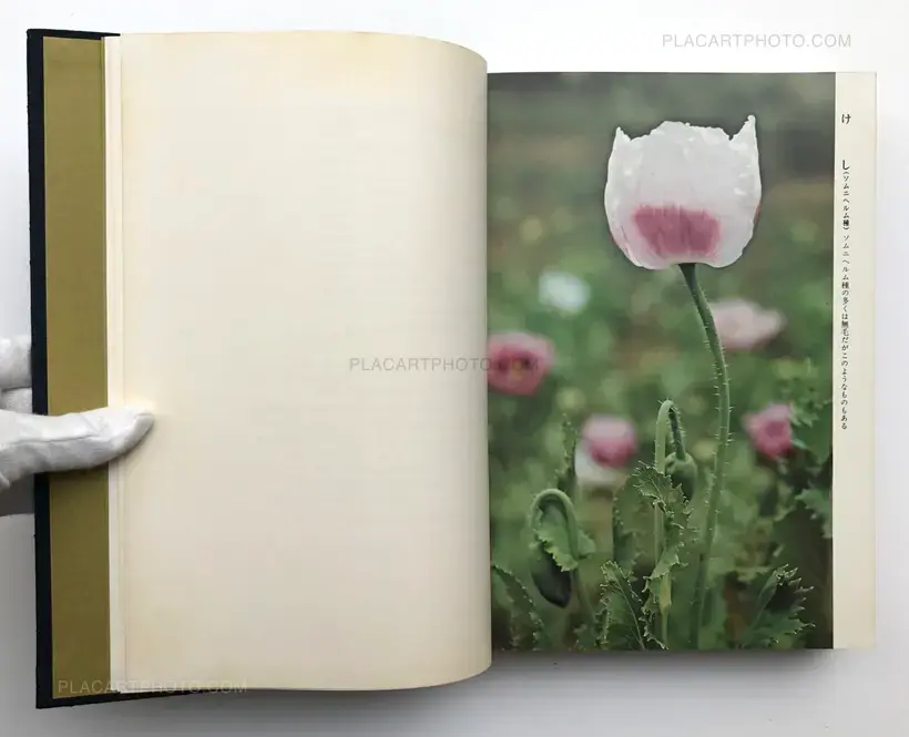 Kazuo Kenmochi – Nihon no Mayakuka (Narcotic Photographic Document)