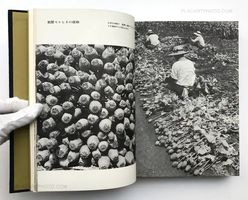 Kazuo Kenmochi – Nihon no Mayakuka (Narcotic Photographic Document)
