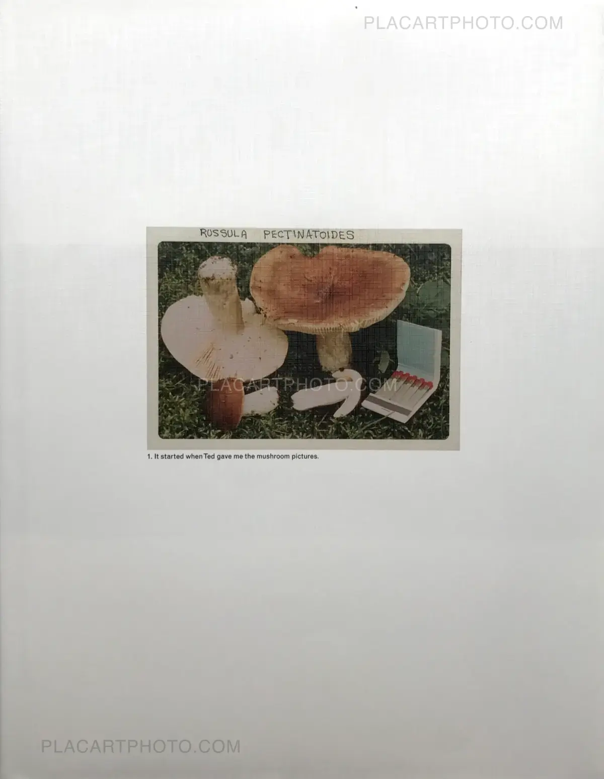 Jason Fulford, The Mushroom Collector, The Soon Institute, 2010