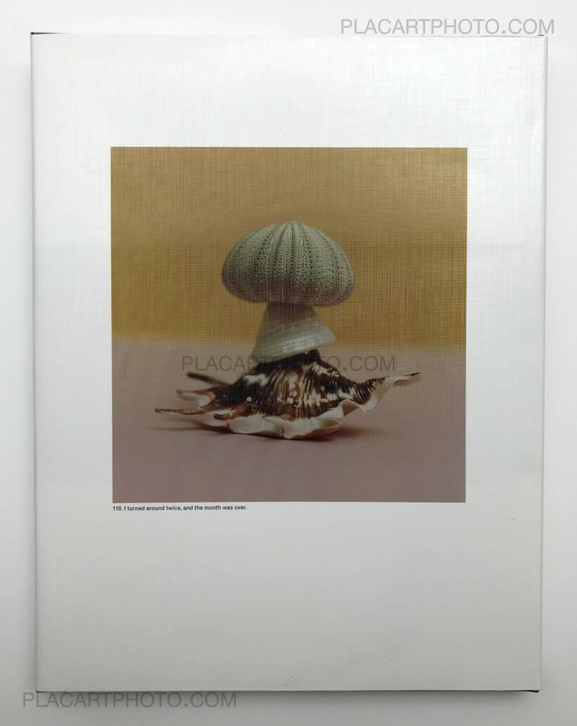 Jason Fulford: The Mushroom Collector, The Soon Institute, 2010 