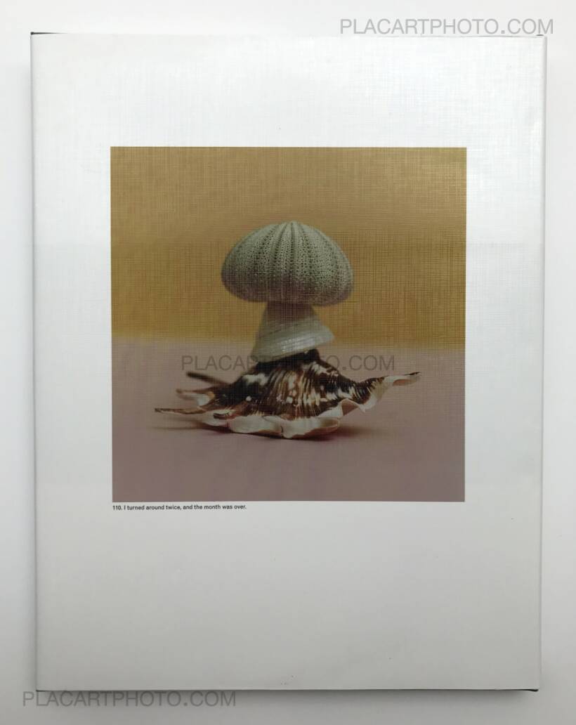 Jason Fulford: The Mushroom Collector, The Soon Institute, 2010