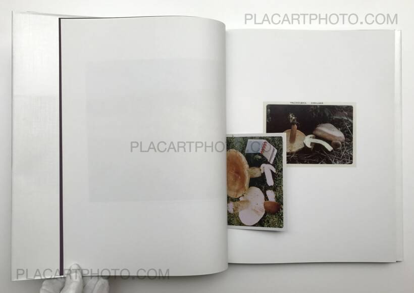 Jason Fulford – The Mushroom Collector