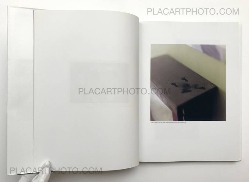 Jason Fulford – The Mushroom Collector