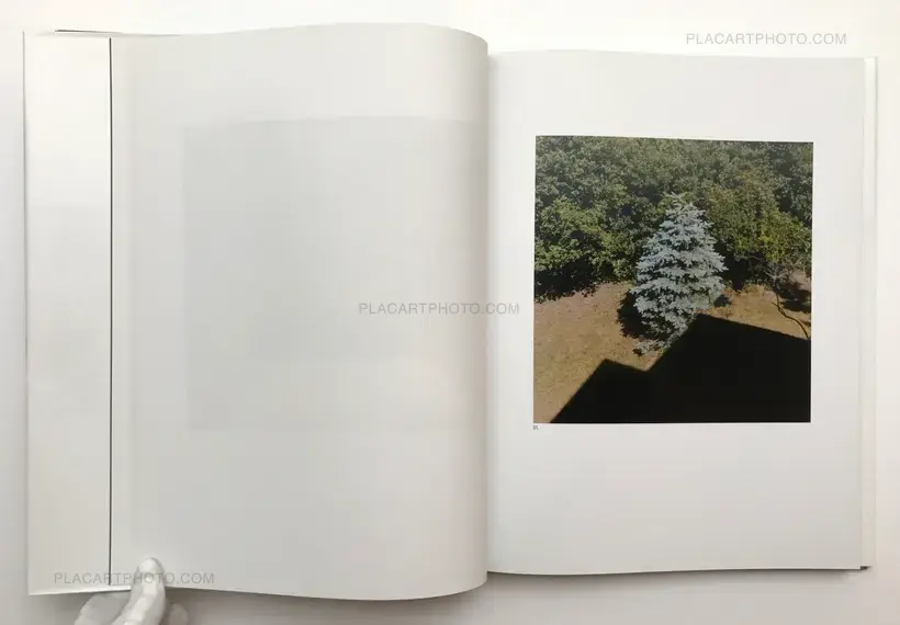 Jason Fulford – The Mushroom Collector