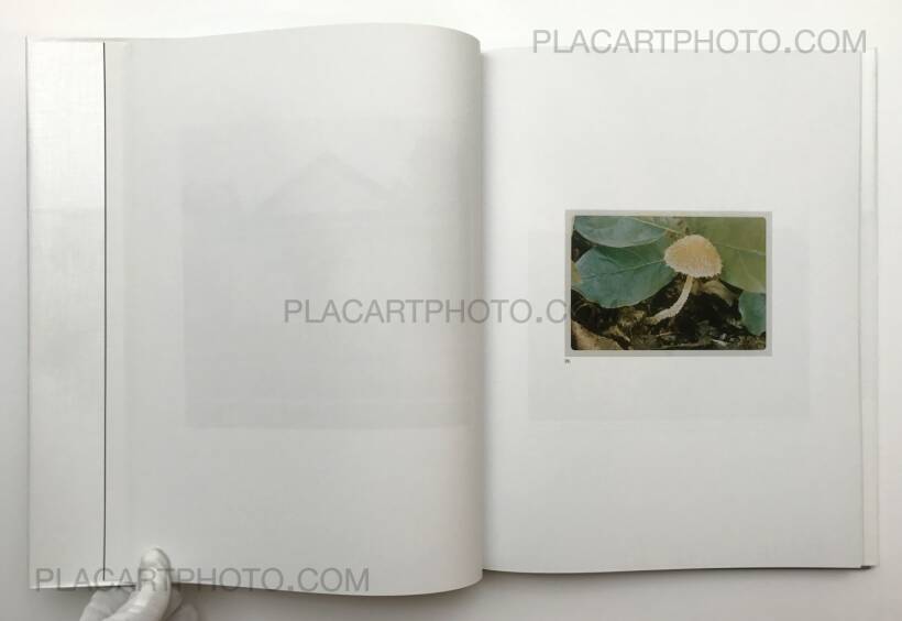 Jason Fulford – The Mushroom Collector