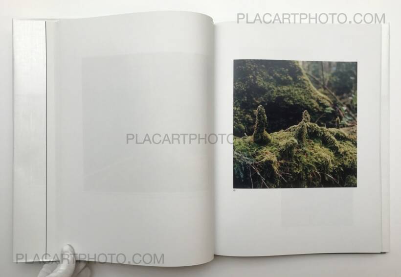 Jason Fulford – The Mushroom Collector