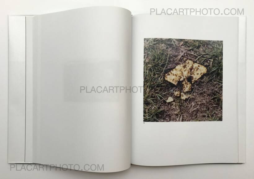 Jason Fulford – The Mushroom Collector
