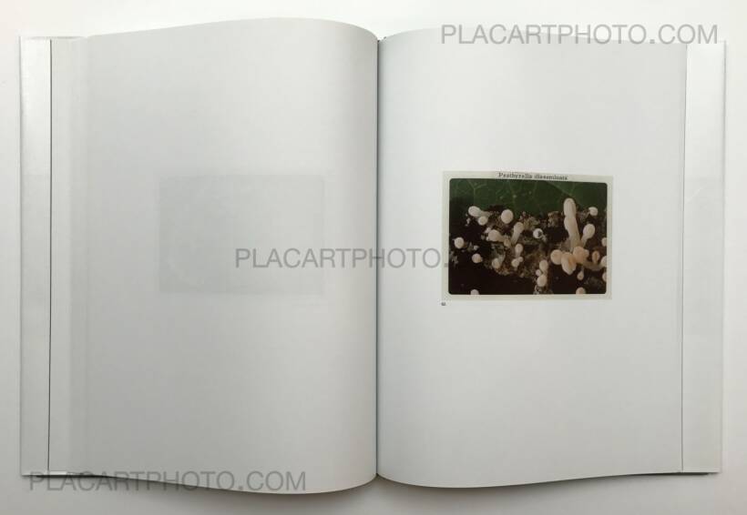 Jason Fulford – The Mushroom Collector