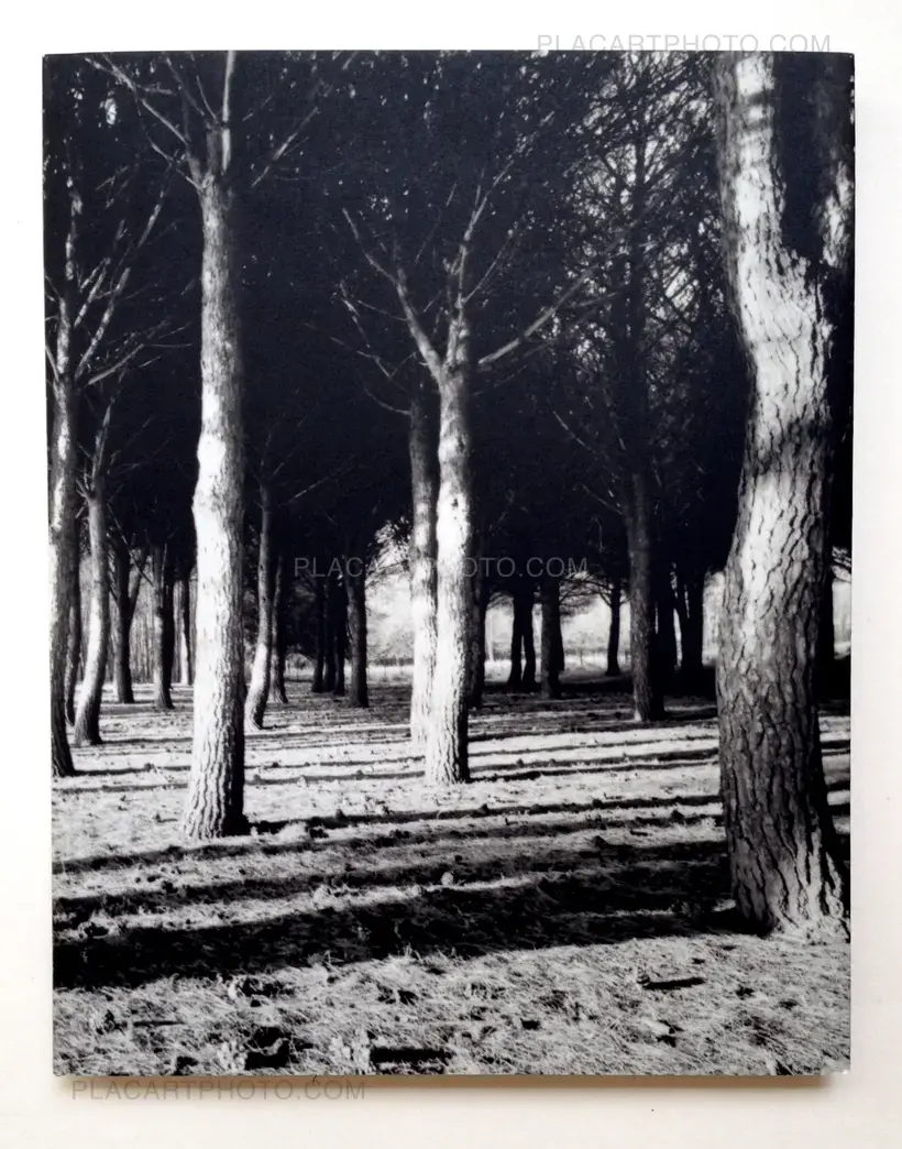 Pablo Larreta – Time Lost (Signed)