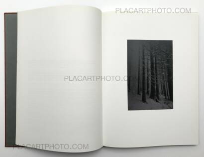 Jitka Hanzlova,Forest Jitka Hanzlova,Forest