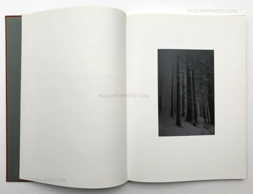 Jitka Hanzlova – Forest