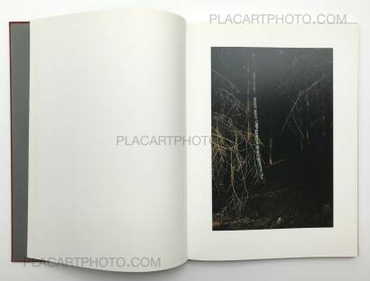 Jitka Hanzlova,Forest Jitka Hanzlova,Forest