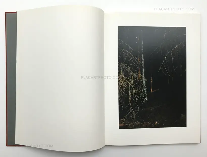 Jitka Hanzlova – Forest