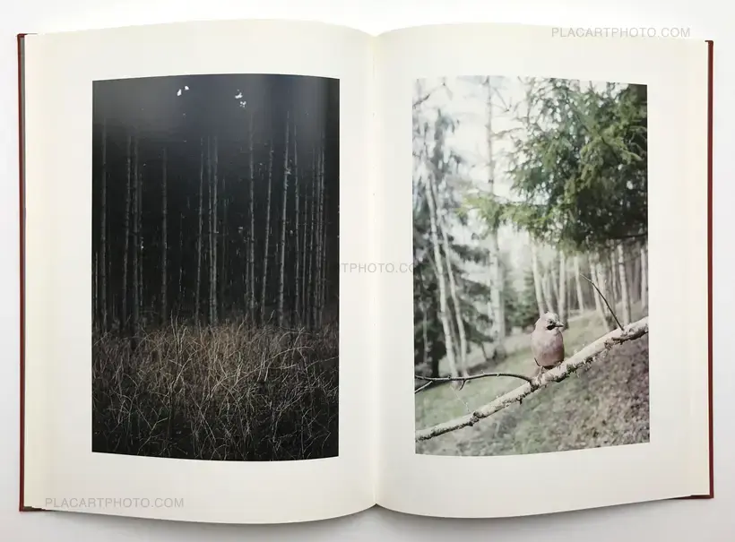 Jitka Hanzlova – Forest