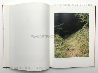 Jitka Hanzlova,Forest Jitka Hanzlova,Forest
