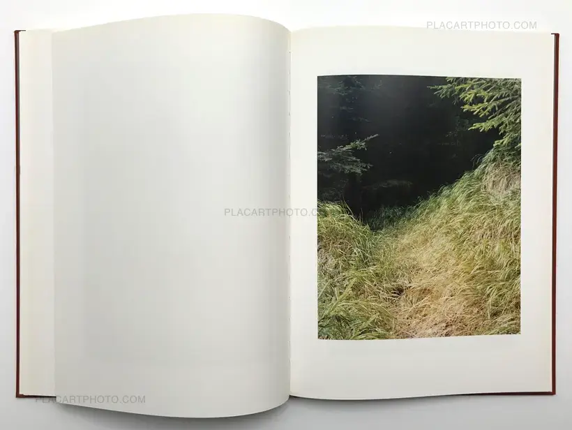 Jitka Hanzlova – Forest