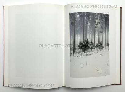 Jitka Hanzlova,Forest Jitka Hanzlova,Forest