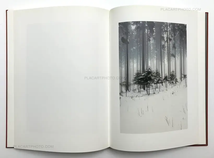 Jitka Hanzlova – Forest